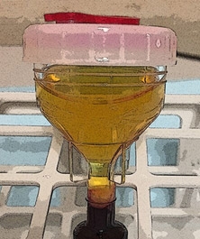 About Platelet-Rich Plasma (PRP) Therapy for Arthritis