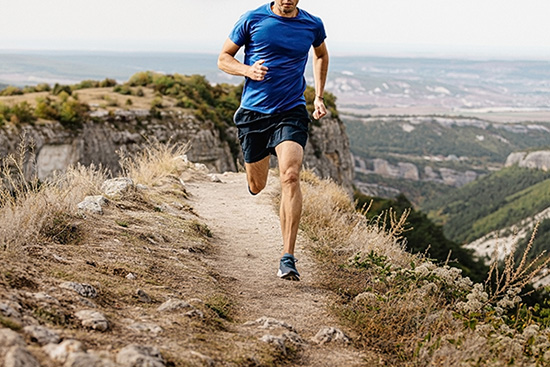 What Are the Best Materials for Joint Replacement?